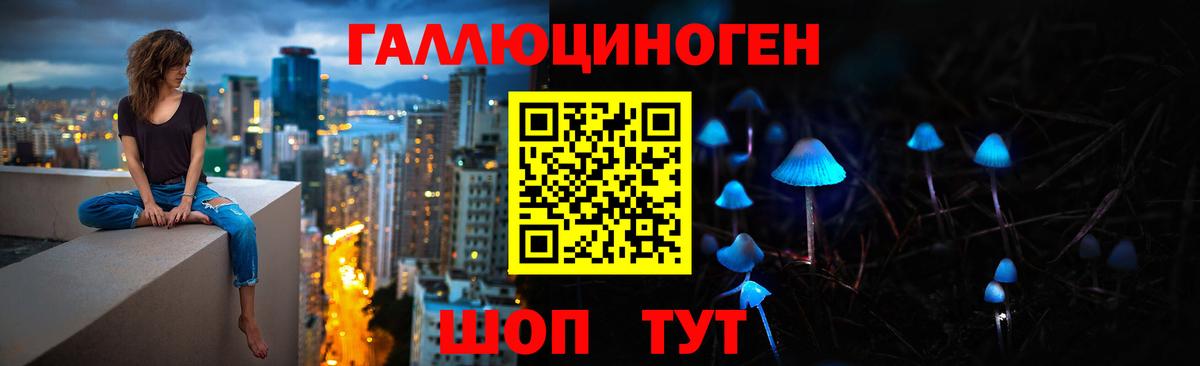 Псилоцибиновые грибы Psilocybine cubensis Черкесск